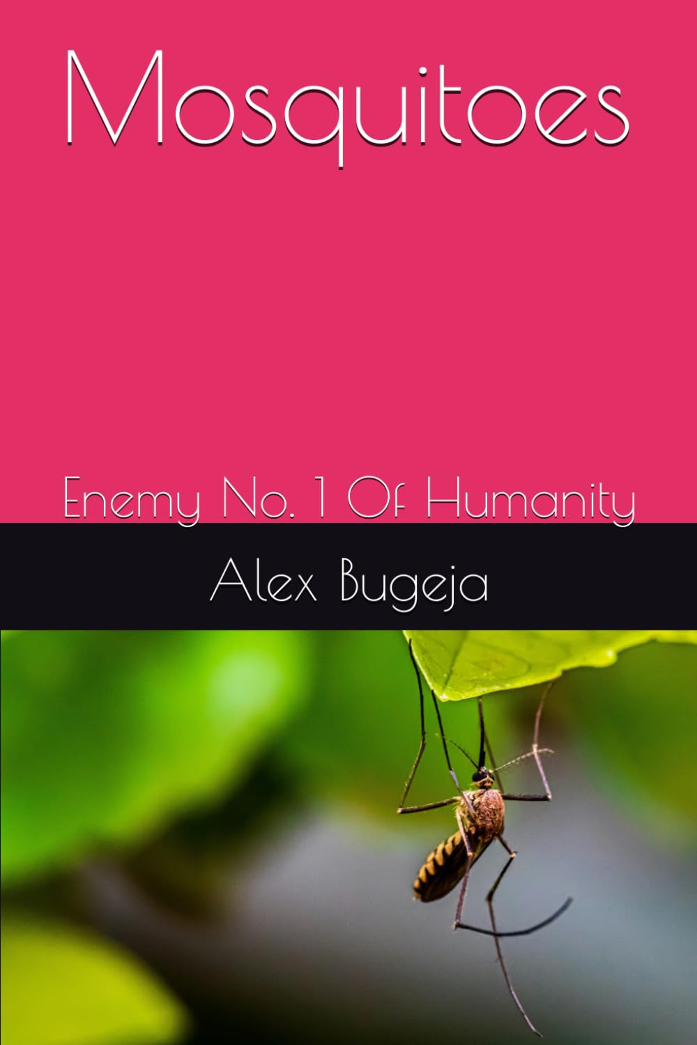 Mosquitoes: Enemy No. 1 Of Humanity