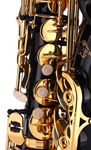 Image of Kaizer Alto Saxophone E Flat Eb Black Lacquer Body Gold Keys 1000 Series Sax Includes Case Mouthpiece and Accessories ASAX-1000BKGK