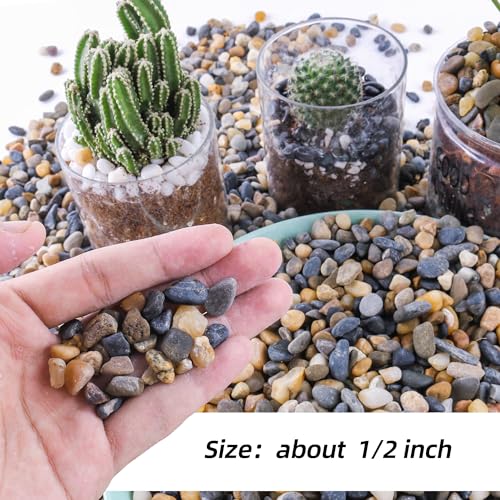 Image of CJGQ 18lb 1 /4 /'' Polished Pebbles for Plants Potting,Succulents Aquarium Fish Tank Vases-Decorative River Rocks Garden Gravel Stones