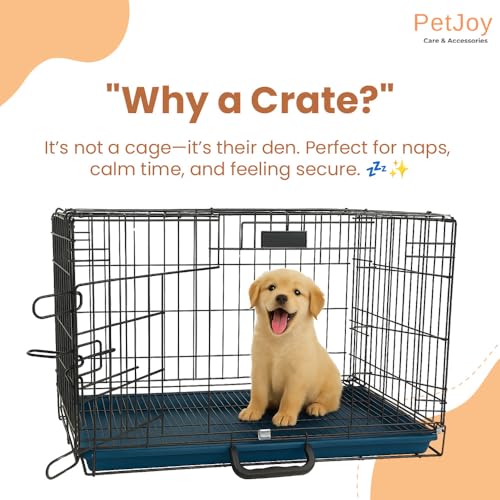 Image of PETJOY Foldable Metal Dog Cage | Dog Crate Kennel for Puppies, Small Dogs, Cats & Rabbits | Single Door with Secure Lock, Removable Leak-Proof Tray | Portable & Easy to Clean Pet Cage (Black, 30 INCH)