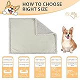 Pawsee Wasserdicht Hundedecke Katzendecken Waschbar, wasserdichte Decke für Unterwegs Hundesofa Schutzdecke Sofa Überwurf, Flauschig Hundedecke für Miniaturhunde Kleine Hunde Katzen,XS 75 x 60cm