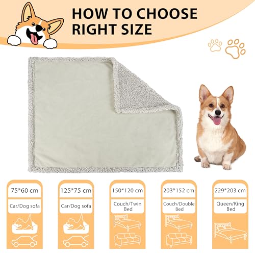 Pawsee Wasserdicht Hundedecke Katzendecken Waschbar, wasserdichte Decke für Unterwegs Hundesofa Schutzdecke Sofa Überwurf, Flauschig Hundedecke für Miniaturhunde Kleine Hunde Katzen,XS 75 x 60cm