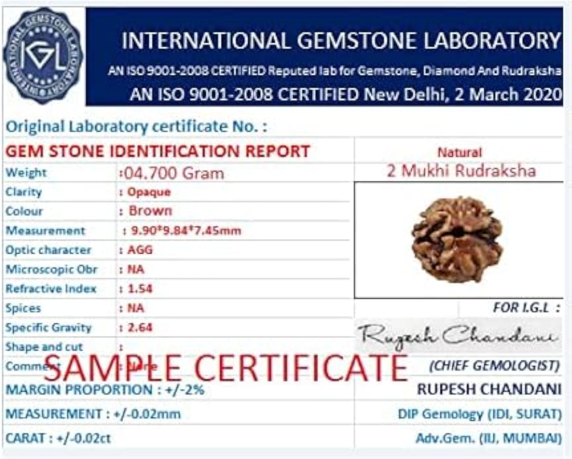 Purest Do Mukhi Rudraksha Nepali Beads, Lab Certified