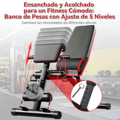 Recopilación de Banco gym de esta semana. 26 Recopilación de Banco gym de esta semana. 16