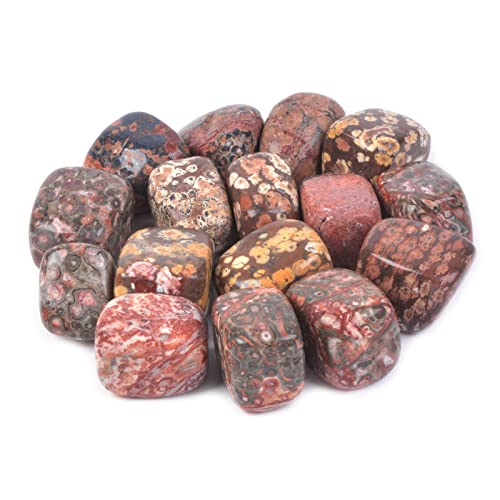 1/2LB Large Leopard Skin Jasper Tumbled Stone Specimen Collection Pocket Worry Healing Crystal