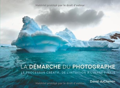 Télécharger La démarche du photographe: Le processus créatif, de l'intuition à l'image finale Livre eBook France