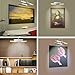 LUXSWAY Wireless Battery Operated Picture Light with Remote Control, Dimmable & Timer, 180° Adjustable Head for Wall Art, Canvas Paintings, Portrait Displays -Silver