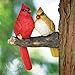 Bits and Pieces - 'Pair of Cardinals' Tree Hugger - Yard Decorations - Whimsical Tree Birds Sculpture - Garden Decoration - Garden Peeker Yard Art