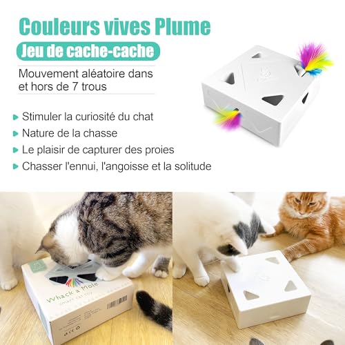 Migipaws Jouets pour Chat, Jouet interactif Automatique à 7 Trous pour Souris, Jouet d'éveil Ultra Amusant pour Les Chats d'intérieur, Rechargeable par USB, 4 pièces de Plumes – Image 5