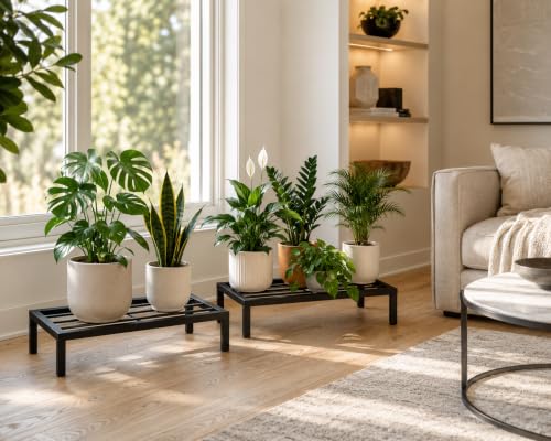 Image of Kundi Plant Stand for Balcony Decoration | Anti-Rust Metal Pot Stand for Indoor & Outdoor Plants | Garden Flowerpot Stand | Black | 24 Inch | (Pack of 4) (Pack of 2)