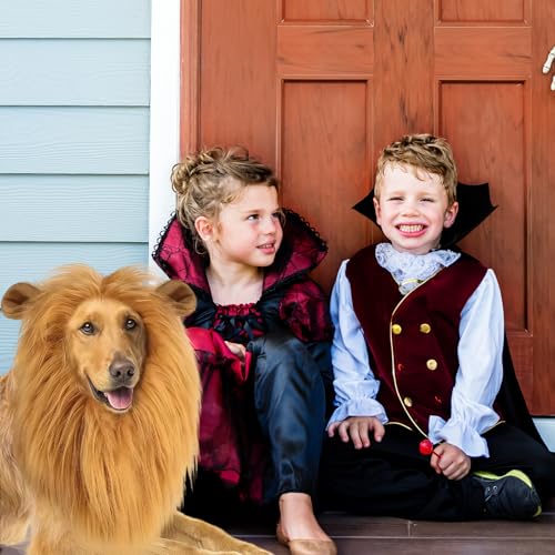 GWAWG Löwenmähne Hund mit Schwanz, Verstellbare Haustier Löwenperücke & Pelziger Schwanz Set, Hundekostüm Halloween Dress Up Fancy Party Outfit