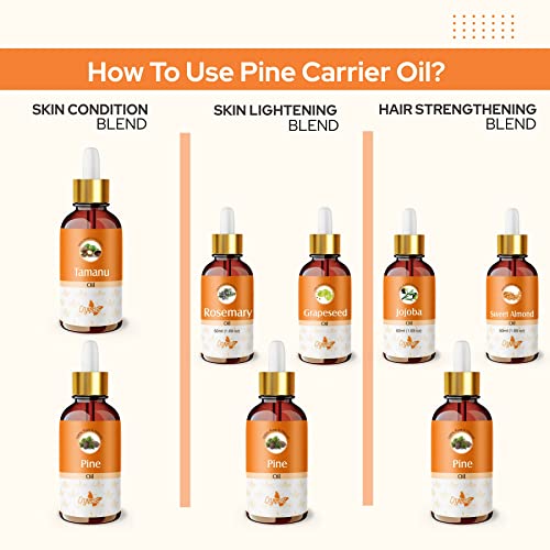 Image of Crysalis Pine (Pinus) Oil |100% Pure & Natural Undiluted Essential Oil Organic Standard| Perfect & Used Skin Care & Hair Care |Aromatherapy Oil| 100Ml With Dropper