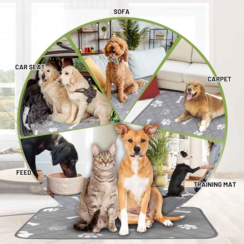 Image of PatiencET Washable Dog Pee Pad, 48 inch x 65 inch Extra Large, Super Absorbent Reusable Waterproof Floor & Sofa Protector for Large Dogs, Whelping & Incontinence