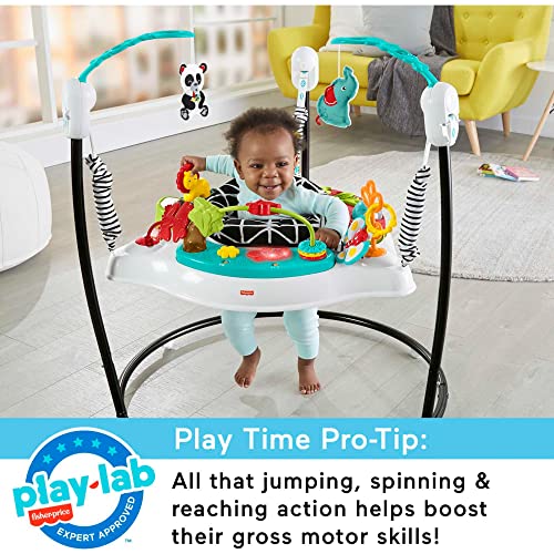 Fisher-Price Baby Bouncer Animal Wonders Jumperoo Activity Center With Music Lights Sounds And Developmental Toys #TOP4