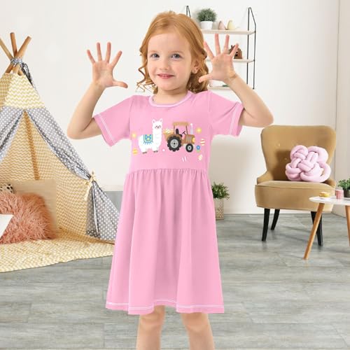 Love Heart Capybara Toddler Dress Girls Summer Short Sleeve T-Shirt Dress Casual Outfit4