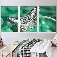 3 Piece Framed Canvas Wall Art Colorful Bee Insects Canvas Prints Home Artwork Decoration for Living Room,Bedroom - 16