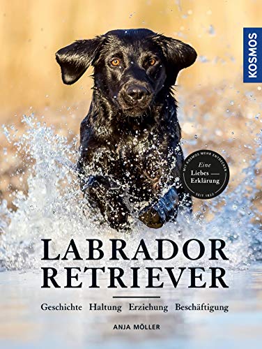 Labrador Retriever: Geschichte, Haltung, Erziehung, Beschäftigung