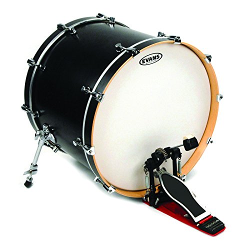 Evans G1 Coated Bass Drum Head, 16 Inch #TOP4