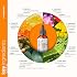 artnaturals Anti-Aging Vitamin C Serum - (1 Fl Oz / 30ml) - with Hyaluronic Acid and Vit E - Wrinkle Repairs Dark Circles, Fades Age Spots and Sun Damage - Enhanced 20% Vitamin C