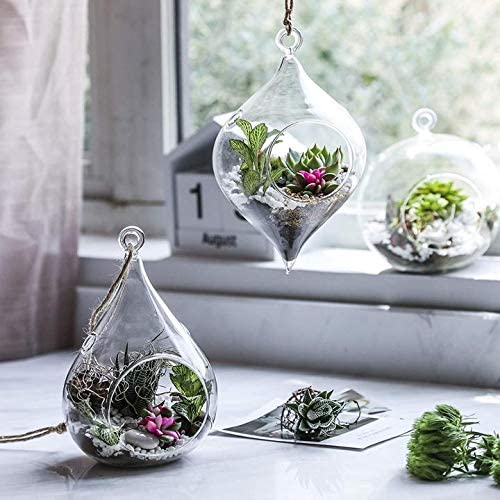 AAMU Moon Glass Hanging Planters, Tear Drop, Olive and Round Shape Terrarium for Diwali, Indoor Succulent & Air Plants & Home Decoration - Pack of 3 Piece-image-48