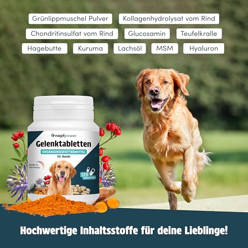 Napfpower Gelenktabletten Hund (125 STK.) mit Grünlippmuschel - Leckerli mit MSM, Teufelskralle, Glucosamin, Hyaluron & Kurkuma Unterstützt die Gelenke & Knochen