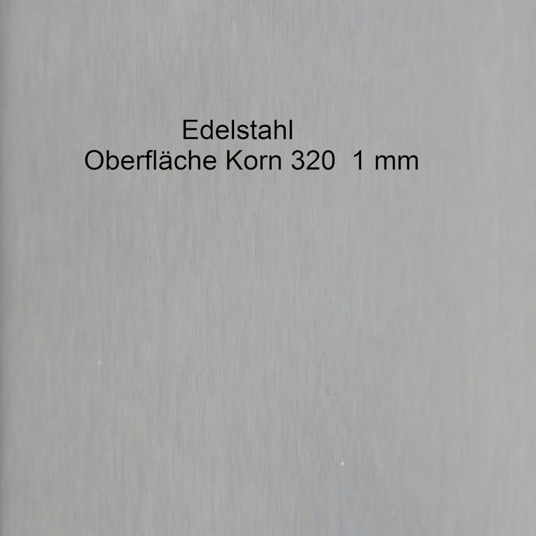 Stalen Binnendeur - 3 Vlaks met kickplate - Rook glas