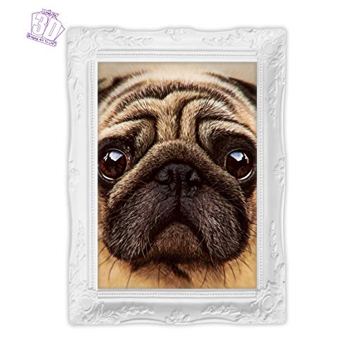 3D Livelife Lenticular Wall Art Prints - Pug From Deluxebase. Unframed 3D Dog Poster. Perfect Wall Decor. Original Artwork Licensed From Renowned Artist, David Penfound #TOP4