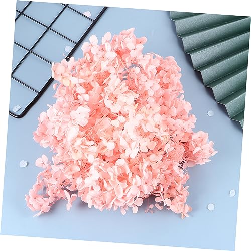 Pétalos secos preservados de hortensia rosa miniatura 7