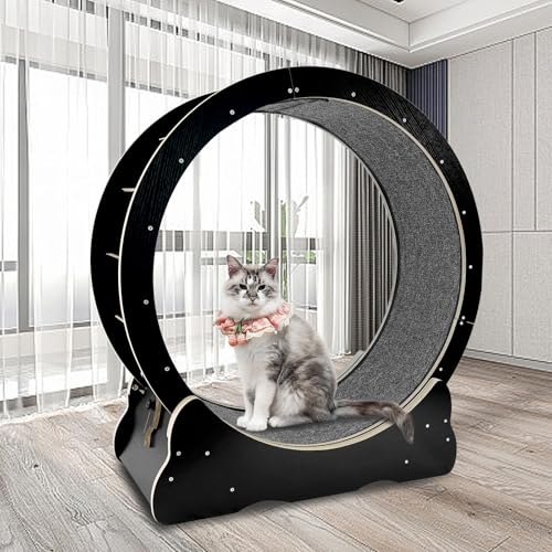 Cat Exercise Wheel - Silent Roller Treadmill for Indoor Cats, Weight Loss Device with Replaceable Pads, 38x36x13.5 (Black)