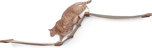 CatastrophiCreations Deluxe Raceway Estantería de pared con hamaca de varios niveles