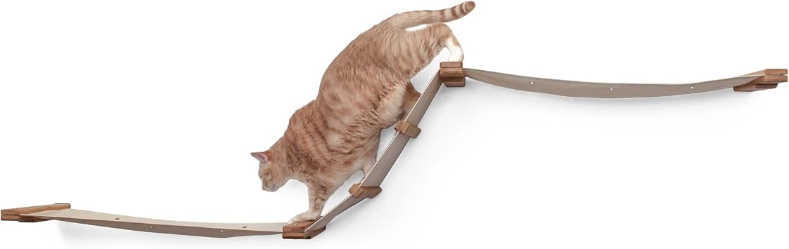 CatastrophiCreations Deluxe Raceway - Multiple-Level Cat Hammock Wall-Mounted Shelving