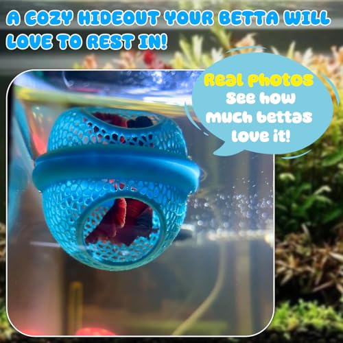 Image of Blue Floating Betta Hide & Shrimp Cave: 3-in-1 Aquarium Hammock, Feeder & Resting Spot for Betta Fish, Shrimp & Small Fish | Eco-Safe PLA