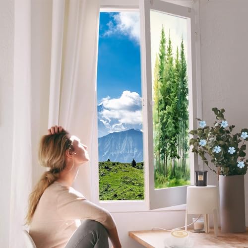 Película de Privacidad para Ventana con Diseño Vintage miniatura 6