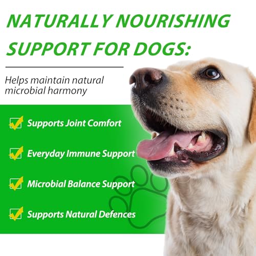 60ml Natürliche Antibiotika für Hunde, Hunde Antibiotika bei Infektionen, Lindert Hustenallergien & Harnwegsinfekte, Ohne Künstliche Zusätze