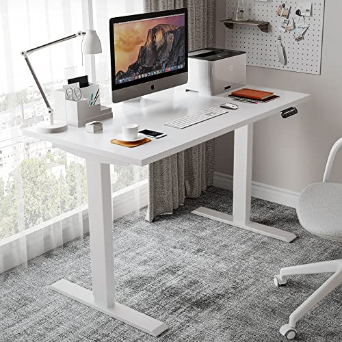 Soohow Electric Standing Desk 48 X 24 Inches Adjustable Height Desk, Dual Motor Stand Up Computer Desk, White Tabletop (120 X 60 Cm), White Frame For Home Office #TOP1