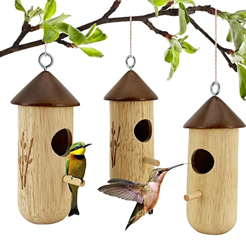 Feather Your Nest: Fly Away with These Top 10 Finch Bird Houses