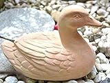 Ente- sehr hübsche Ente aus Terracotta für Haus und Garten -in schönem Naturton, gute Qualität, -Länge 31 cm, Höhe 21 cm, Breite 16,5 cm, schwere Ausführung