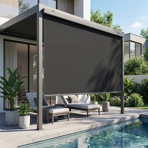LIFERUN Store vertical 180 x 250 cm avec manivelle pour extérieur et intérieur, avec cassette de...