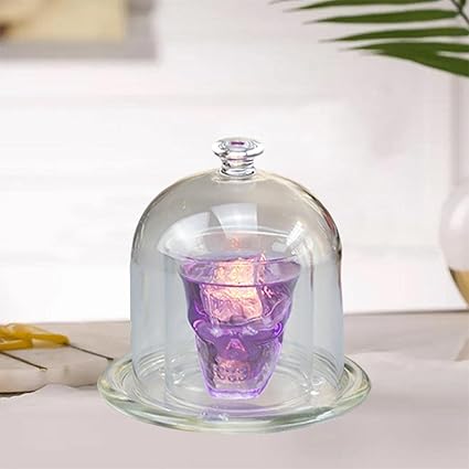 GAH Molecular Cuisine Smoke Hood Dome Cover for Home Kitchen Bar Restaurant Cafe