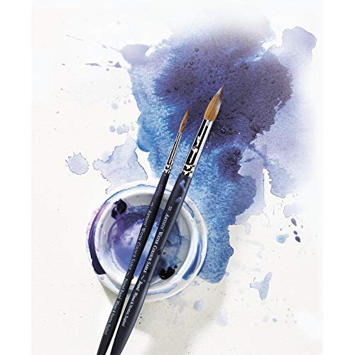 winsor amp newton professional watercolour sable brush round 1