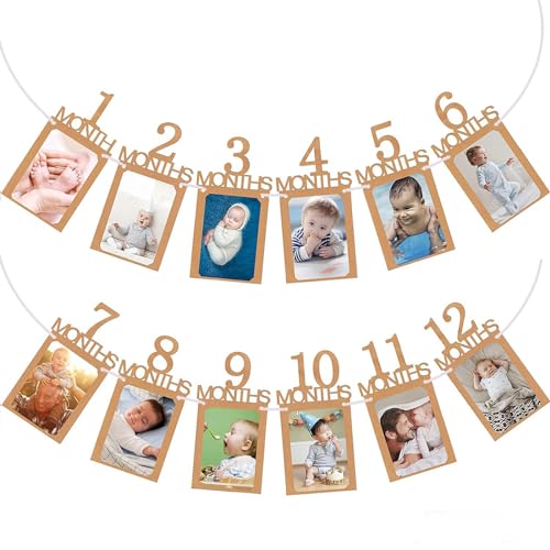 Image of Owl Focus First Birthday Party Banner, Baby Photo Banner from Newborn to 12 Month, 1st Birthday Celebration with Frame, Monthly Milestones Magic for Panty Photo Garland Galore