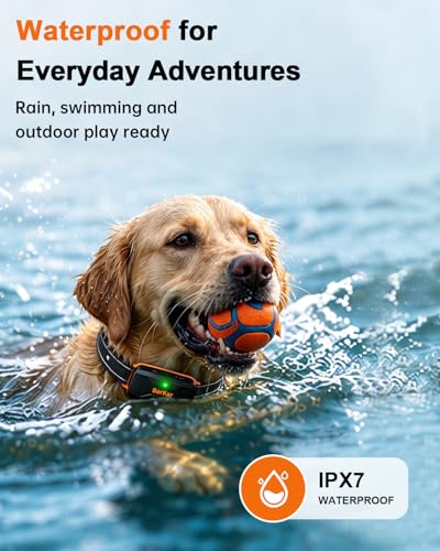 BarKar dog shock collar fit and training use