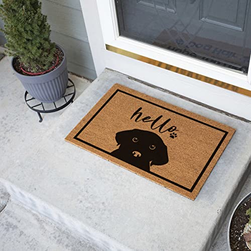 Funny Coir Doormat Black Labrador Hello Cute Dog Mat Welcome Front Porch Decor Doormat For Entrance Way Outdoor Personalized Rug With Heavy-Duty Non Slip Outdoor Coconut Coir Doormat 23.6 X 15.7Inch #TOP3