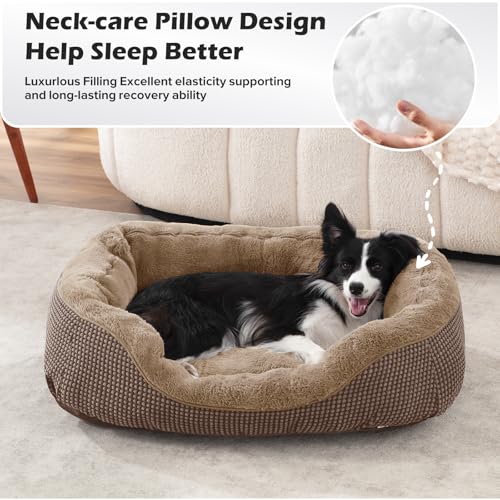 Image of Dog Bed Medium Size, Orthopedic Warming Soft Calming Sleeping Durable with Anti-Slip Bottom