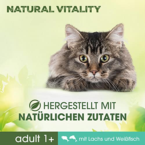 PERFECT FIT Natural Vitality - Katzenfutter Trockenfutter Adult 1+ - Lachs und Weißfisch, 6 x 650g