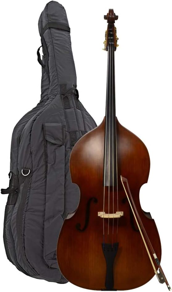 4/4 Double Bass Full Size By Sotendo