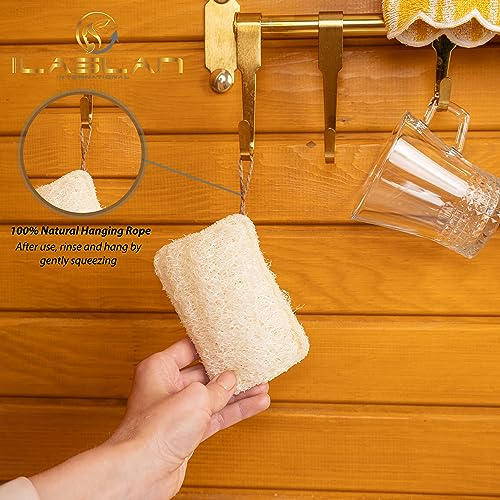 Image of Natural Loofah Dish Sponge Scrubber | Double-Sided | Eco-Friendly, Natural,%100 Organic, Biodegradable and Reusable Dish Loofah Kitchen Sponges | 3 Count (1 Pack) (12X8 CM)