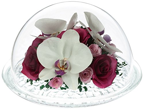 Amazon.co.jp: レンデフロール 胡蝶蘭・バラ DB-V : ホーム＆キッチン
