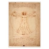 Adesivi murali Decor Photo Sticker 21.00x29.70cm Uomo Vitruviano da Vinci n. H5013M_NS1A4