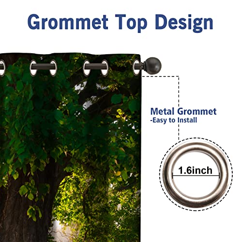 Jekeno Oak Tree Forest Blackout Curtains Green Tree Jungle Nature Landscape Foggy Scenery Stream View Print Decor for Bedroom Living Room Grommet Window Drapes 2 Panel Set, 52"x84"